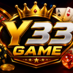 Y333 Image