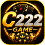 C222 Game