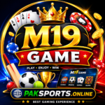 M19 game