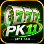 pk11 game